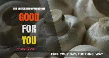 Dehydrated Mushrooms: Nutritional Benefits and Health Advantages Explained