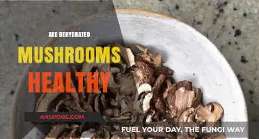 Dehydrated Mushrooms: Healthy Superfood or Not?