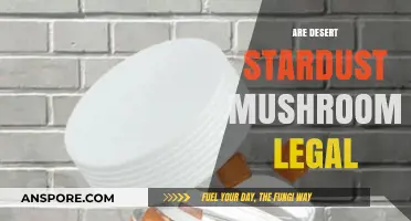 Are Desert Stardust Mushrooms Legal? Exploring Psychedelic Laws and Regulations