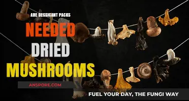 Do Dried Mushrooms Really Need Desiccant Packs for Storage?