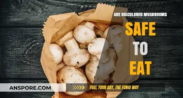 Discolored Mushrooms: Are They Safe to Eat or Toxic?