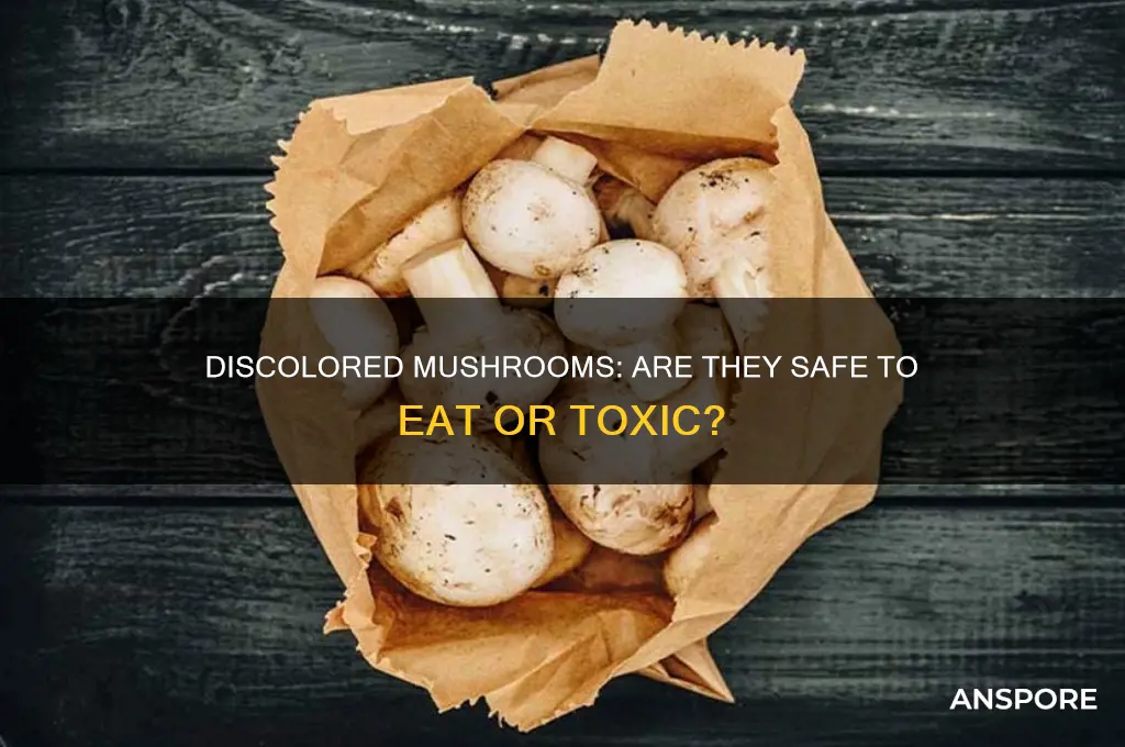 are discolored mushrooms safe to eat