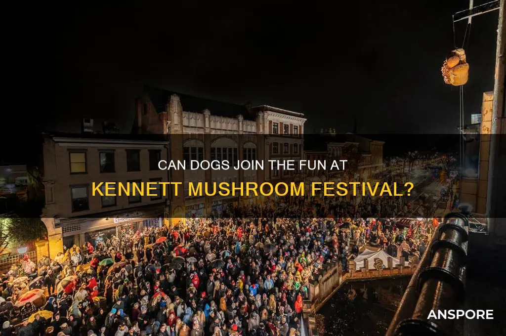 are dogs allowed at kennett mushroom festival