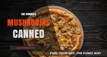 Are Domino's Mushrooms Canned? Unveiling the Truth Behind the Topping