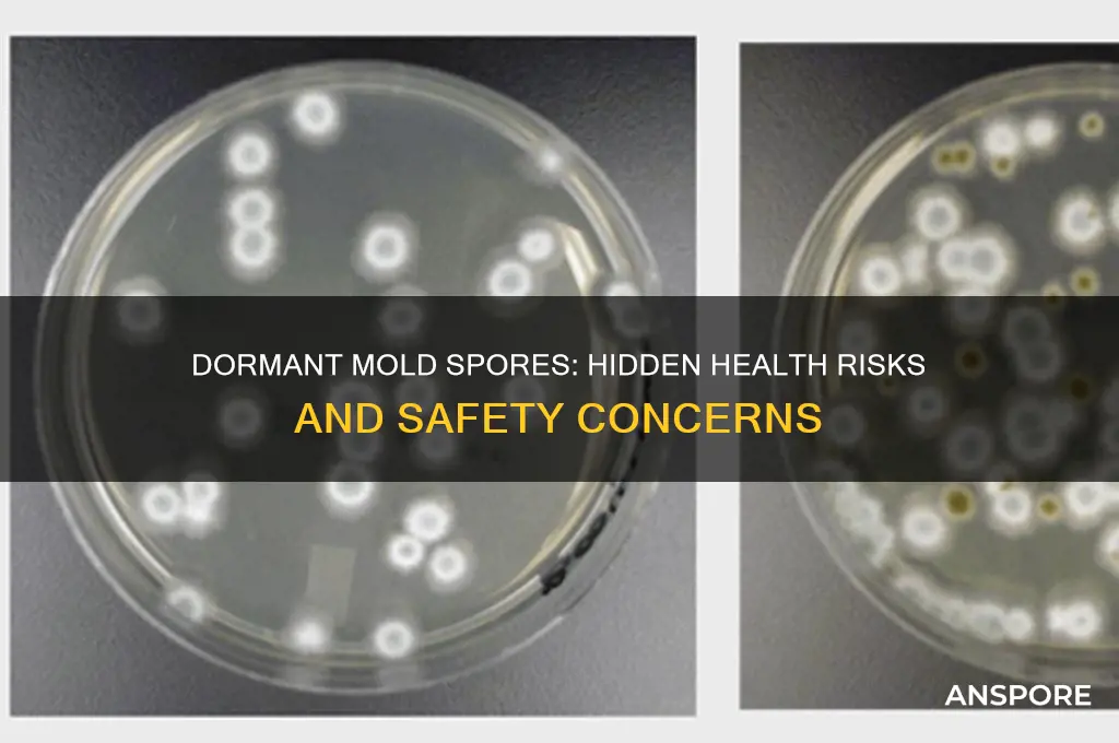are dormant mold spores dangerous