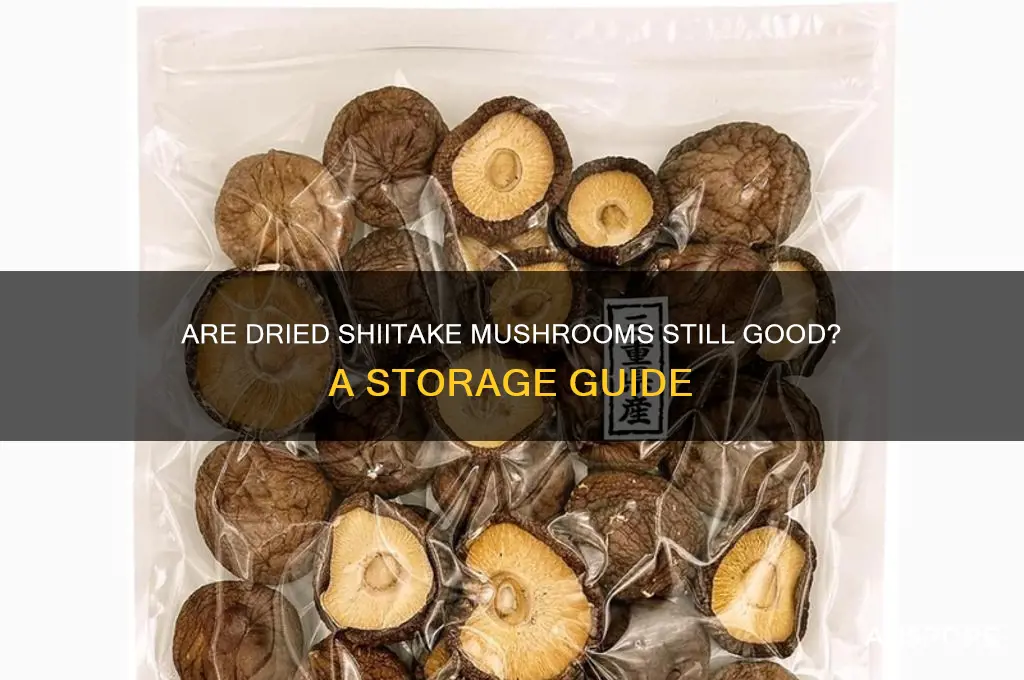are dred shiitake mushrooms still good