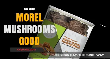 Are Dried Morel Mushrooms Good? Unlocking Flavor, Nutrition, and Culinary Benefits