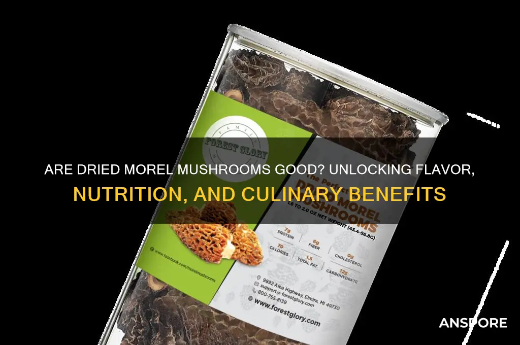 are dried morel mushrooms good