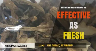 Dried vs. Fresh Mushrooms: Which Packs More Nutritional Punch?