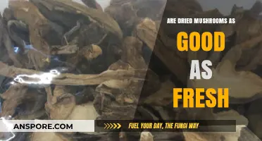 Dried vs. Fresh Mushrooms: Which Offers Superior Flavor and Nutrition?