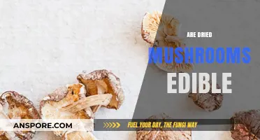 Are Dried Mushrooms Edible? A Comprehensive Guide to Safety and Taste