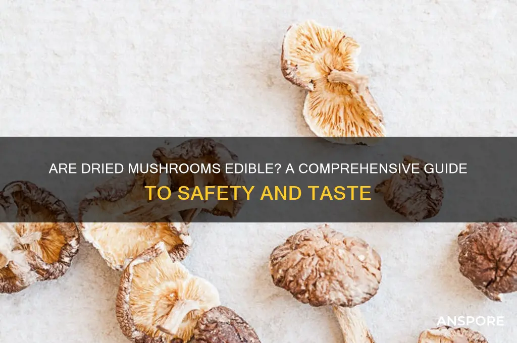 are dried mushrooms edible