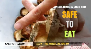 Are Chinese Dried Mushrooms Safe for Consumption? A Comprehensive Guide
