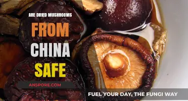 Are Chinese Dried Mushrooms Safe? A Comprehensive Analysis