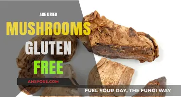 Gluten-Free Dried Mushrooms: Safe or Not?