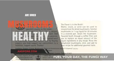 Dried Mushrooms: Healthy Superfood or Not?