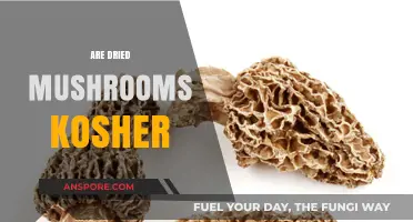 Mushroom Mystery: Are Dried Mushrooms Kosher?