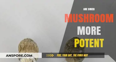 Dried Mushrooms: More Potent or Placebo Effect?