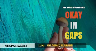 Are Dried Mushrooms Safe for Gaps? A Comprehensive Guide