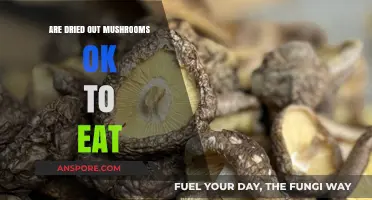 Are Dried-Out Mushrooms Safe to Eat? A Complete Guide