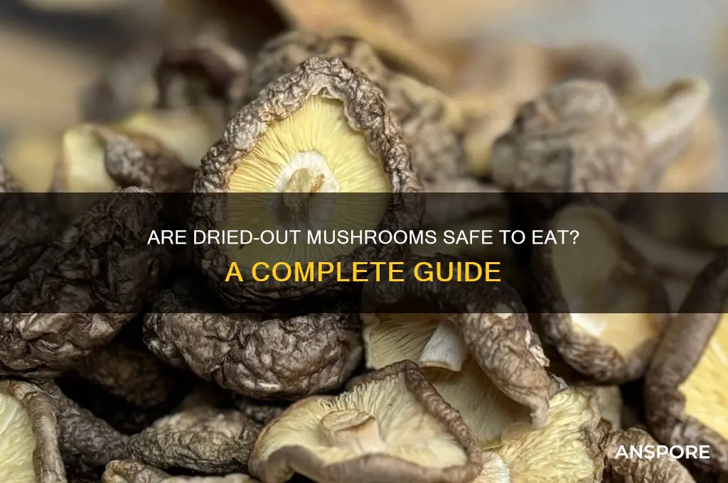 are dried out mushrooms ok to eat