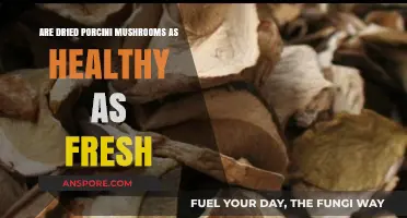 Dried vs. Fresh Porcini Mushrooms: Which is Healthier for You?