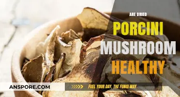 Porcini Mushrooms: Healthy Superfood or Overrated?