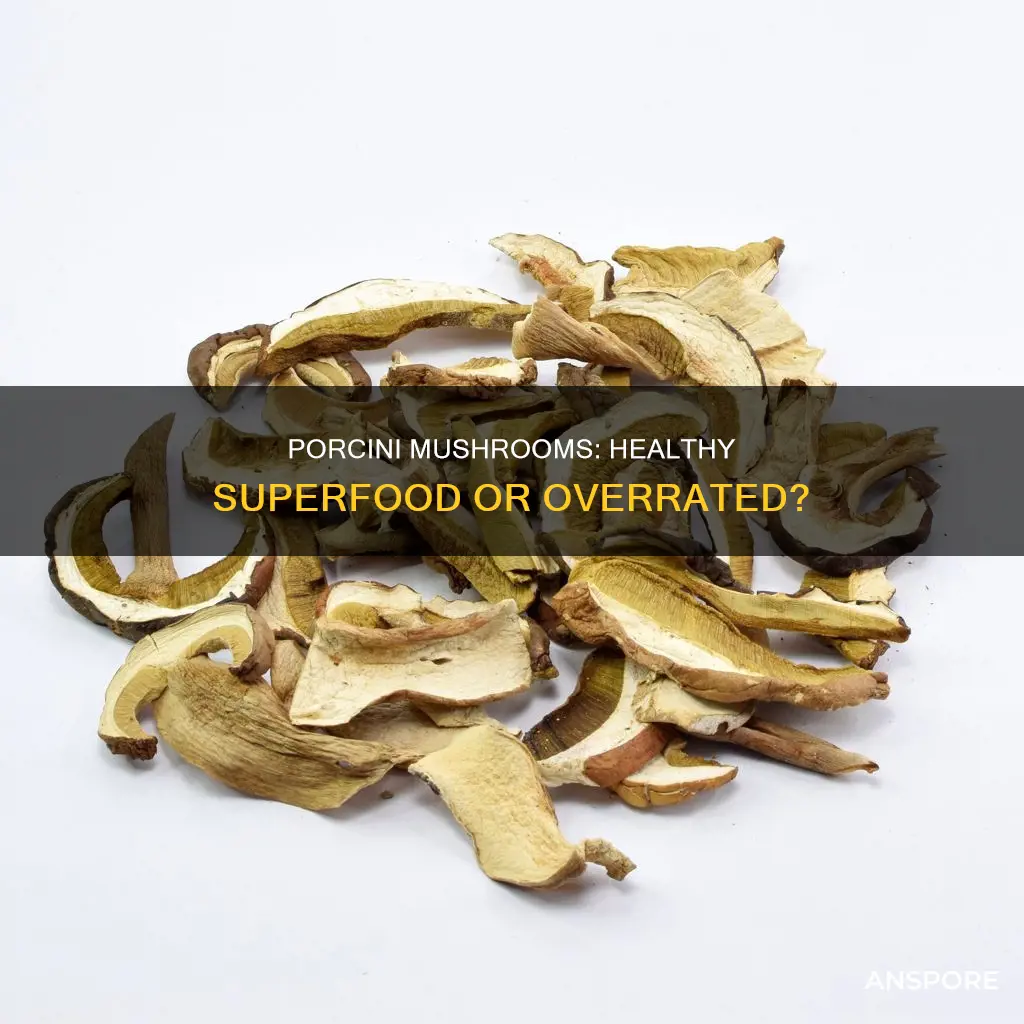 are dried porcini mushrooms healthy