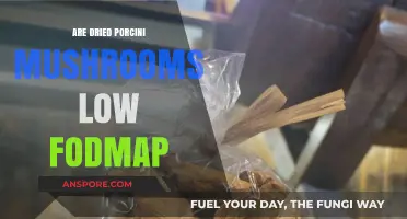 Dried Porcini Mushrooms: Are They Low FODMAP and Gut-Friendly?