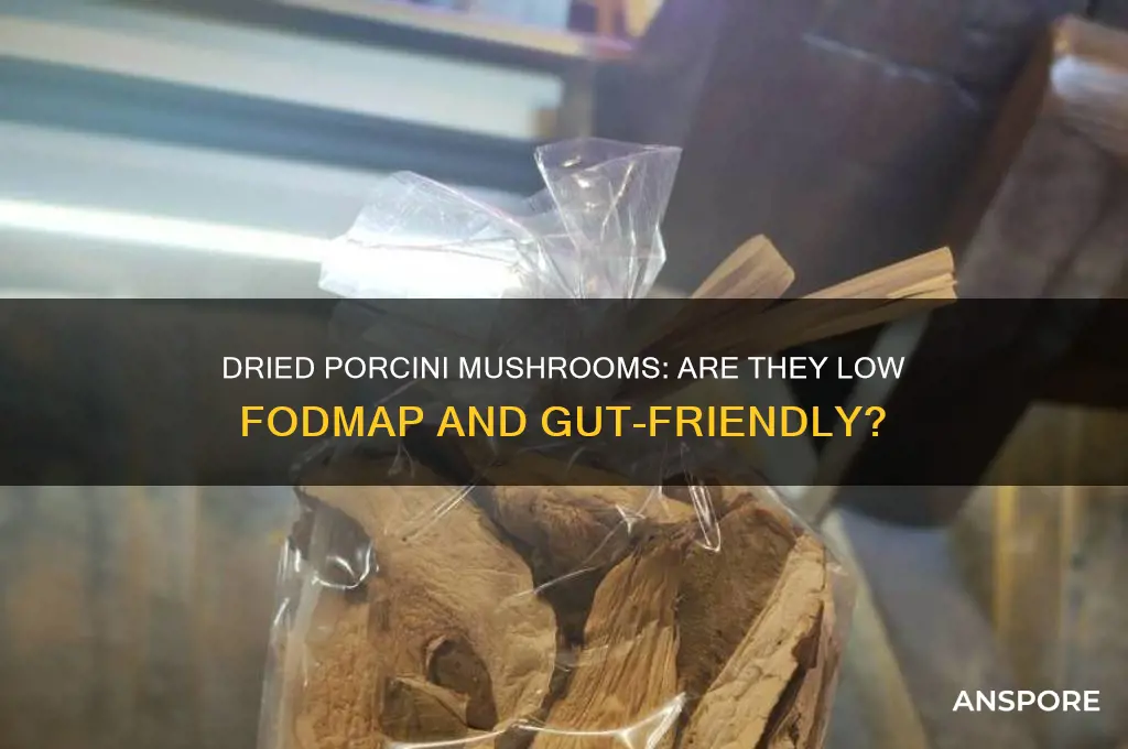 are dried porcini mushrooms low fodmap