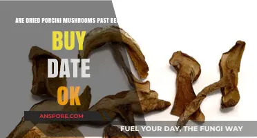 Are Dried Porcini Mushrooms Safe After Best Buy Date?