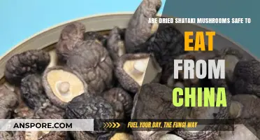 Are Chinese Dried Shiitake Mushrooms Safe for Consumption?