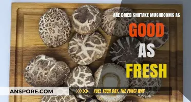 Dried vs. Fresh Shiitake Mushrooms: Which is Better for Flavor and Nutrition?
