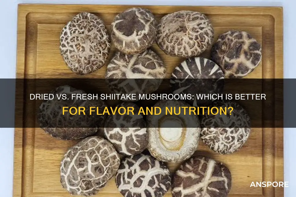 are dried shiitake mushrooms as good as fresh