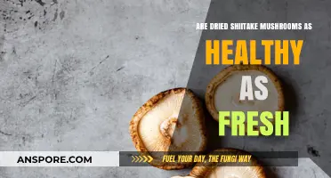 Dried vs. Fresh Shiitake Mushrooms: Which is Healthier for You?