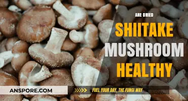 Shiitake Mushrooms: Healthy Superfood or Overhyped?
