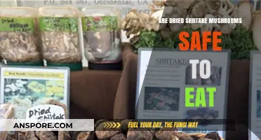 Are Dried Shiitake Mushrooms Safe? A Comprehensive Guide