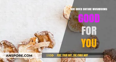 Dried Shiitake Mushrooms: Unlocking Nutritional Benefits and Health Advantages