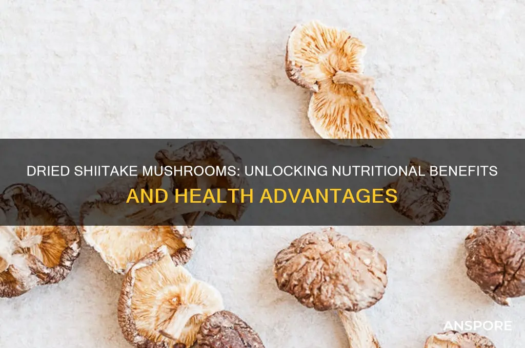 are dried shitake mushrooms good for you
