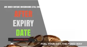 Can You Safely Eat Expired Dried Shiitake Mushrooms? Find Out!
