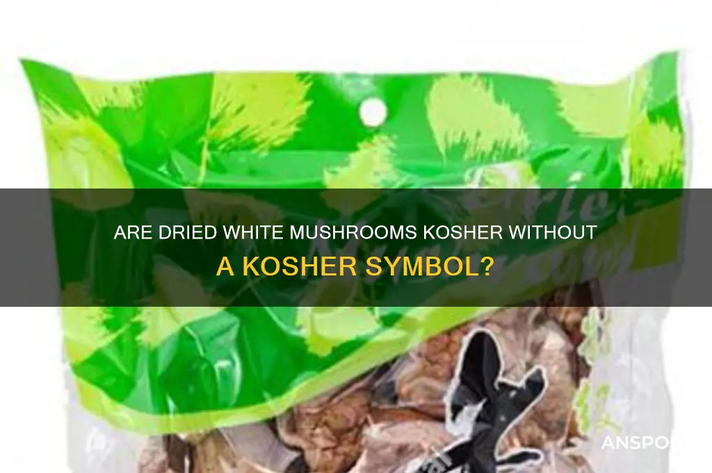 are dried white mushrooms kosher without kosher symbol