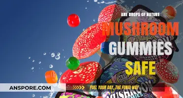 Are Nature's Mushroom Gummies Safe? A Comprehensive Review
