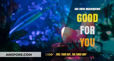 Exploring the Potential Health Benefits of Psychedelic Mushrooms