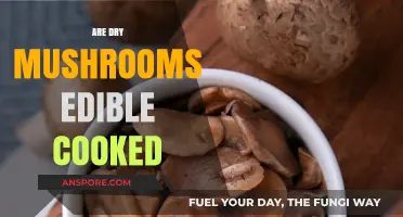 Can You Safely Cook and Eat Dry Mushrooms? A Guide