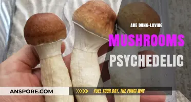 Mushrooms and Manure: A Psychedelic Adventure