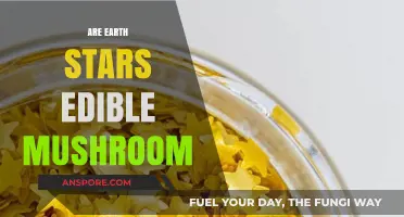 Are Earth Stars Edible? Exploring the Safety of This Unique Mushroom