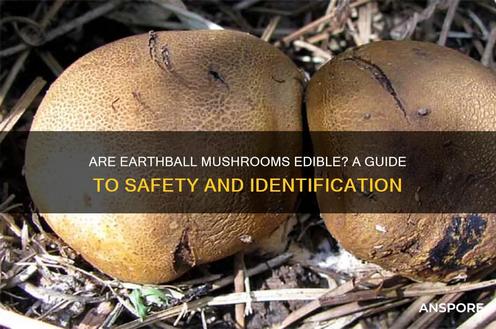 are earthball mushrooms edible