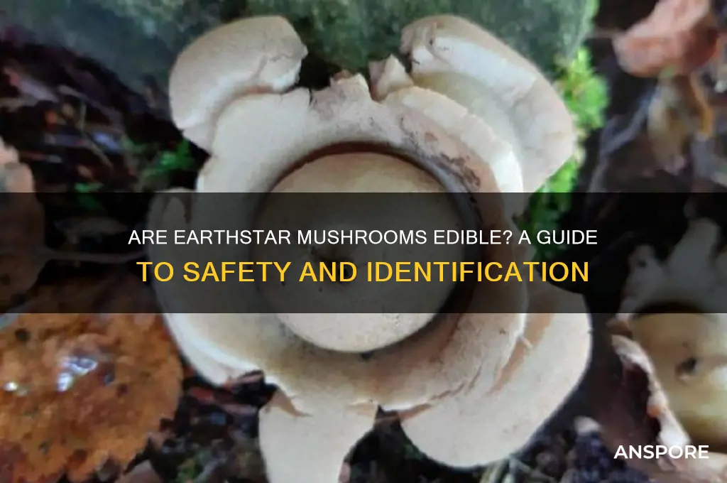 are earthstar mushrooms edible