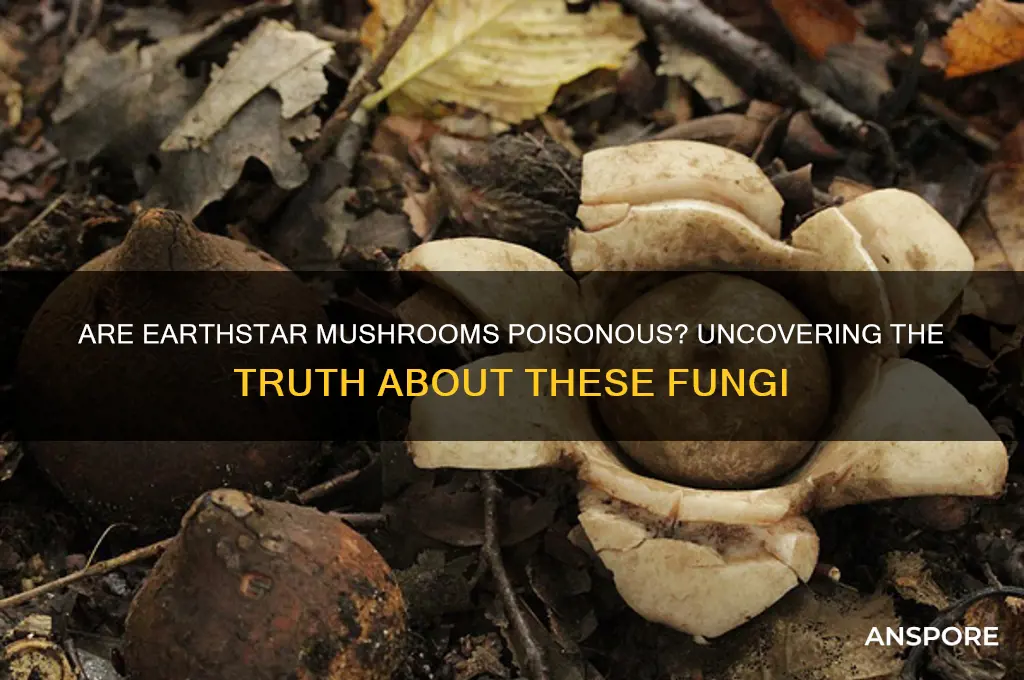 are earthstar mushrooms poisonous