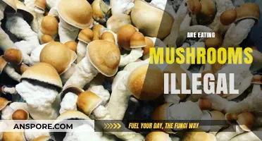 Are Mushrooms Legal? Exploring the Legality of Edible Fungi Consumption